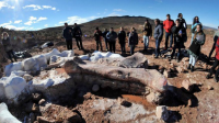 argentina_fossils640.jpg