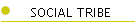 SOCIAL TRIBE