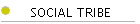 SOCIAL TRIBE